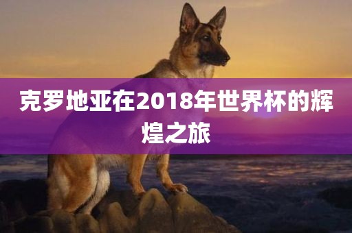 克罗地亚在2018年世界杯的辉煌之旅丹东日丰电子有限公司
