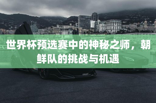 世界杯预选赛中的神秘之师，朝鲜队的挑战与机遇丹东日丰电子有限公司