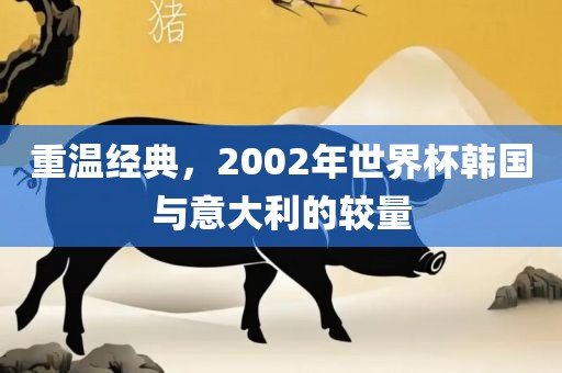 重温经典，2002年世界杯韩国与意大利的较量丹东日丰电子有限公司