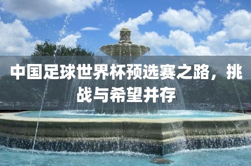 中国足球世界杯预选赛之路，挑战与希望并存丹东日丰电子有限公司