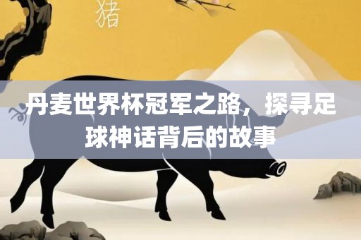 丹麦世界杯冠军之路，探寻足球神话背后的故事丹东日丰电子有限公司