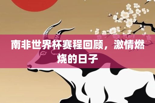 南非世界杯赛程回顾，激情燃烧的日子丹东日丰电子有限公司