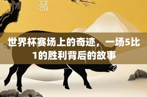 世界杯赛场上的奇迹，一场5比1的胜利背后的故事丹东日丰电子有限公司
