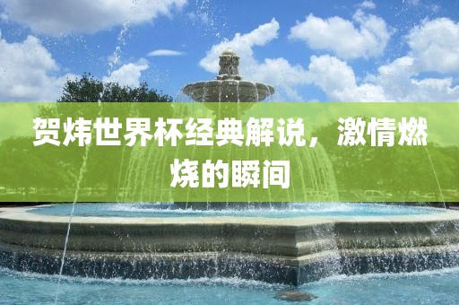 贺炜世界杯经典解说，激情燃烧的瞬间