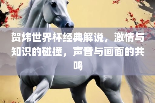 贺炜世界杯经典解说，激情与知识的碰撞，声音与画面的共丹东日丰电子有限公司鸣