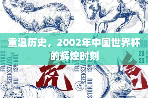 重温历史，2002年中国世界杯的辉煌时刻