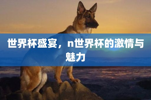 丹东日丰电子有限公司世界杯盛宴，n世界杯的激情与魅力