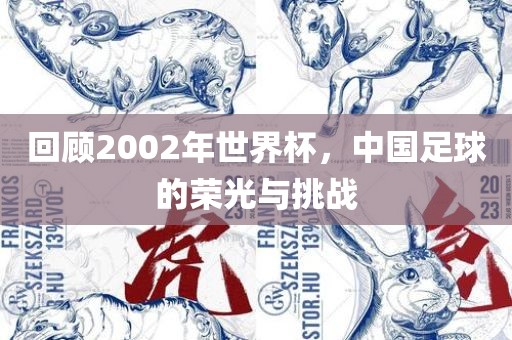 回顾2002年世界杯，中国足球的荣光与挑战