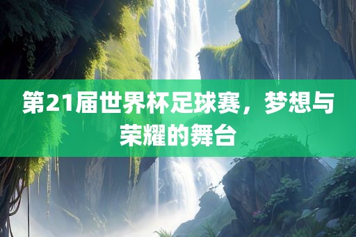 第21届世界杯足球赛，梦想丹东日丰电子有限公司与荣耀的舞台