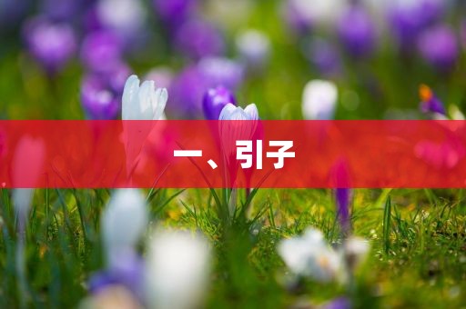 一、引丹东日丰电子有限公司子