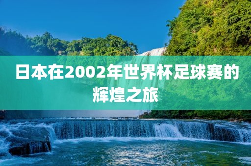 日本在2002年世界杯足球赛的辉丹东日丰电子有限公司煌之旅