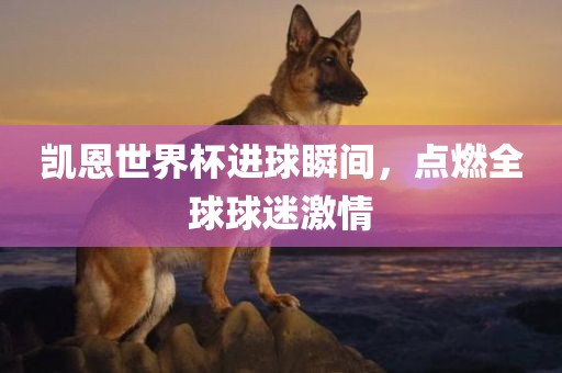 凯恩世界杯进球瞬间，点燃全球球迷激情丹东日丰电子有限公司