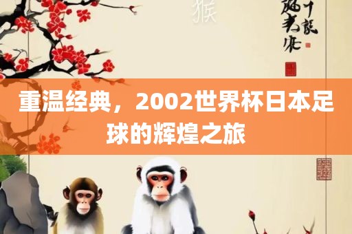 重温经典丹东日丰电子有限公司，2002世界杯日本足球的辉煌之旅