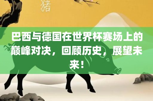 巴西与德国在世界杯赛场上的巅峰对决，回顾历史，展望未来！丹东日丰电子有限公司