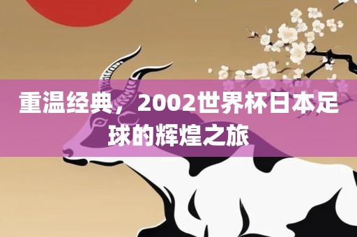 重温经典，2002世界杯日本足球的辉煌之旅丹东日丰电子有限公司