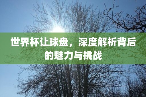 世界杯让球盘，深度解析背后的魅力与挑战丹东日丰电子有限公司