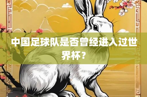 中国足球队是否曾经进入过世界杯？丹东日丰电子有限公司