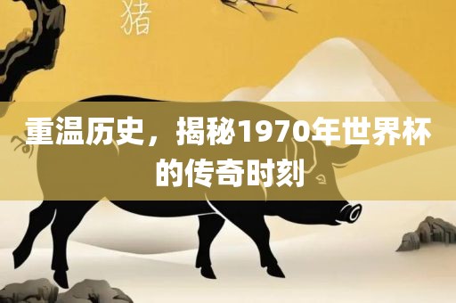 重温历史，揭秘1丹东日丰电子有限公司970年世界杯的传奇时刻