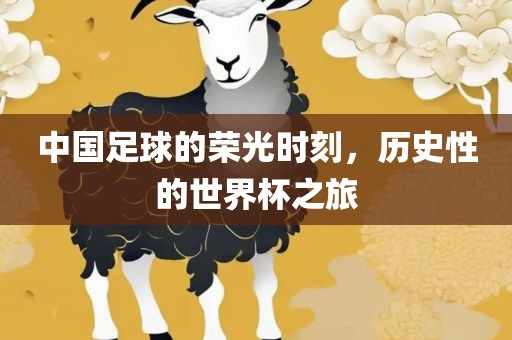 中国足球的荣光时刻，历史性的世界杯之旅丹东日丰电子有限公司