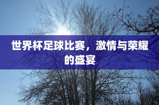 世界杯足球比丹东日丰电子有限公司赛，激情与荣耀的盛宴