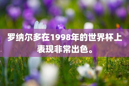罗纳尔多在1998年的世界杯上表现非常出色。丹东日丰电子有限公司