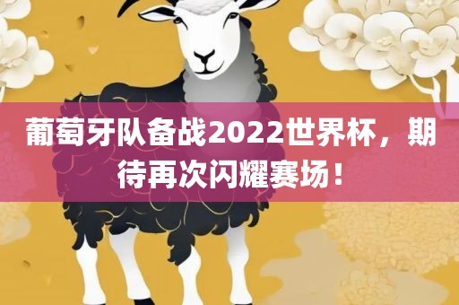 葡萄牙队备战2022世界杯，期待再次闪耀赛场！