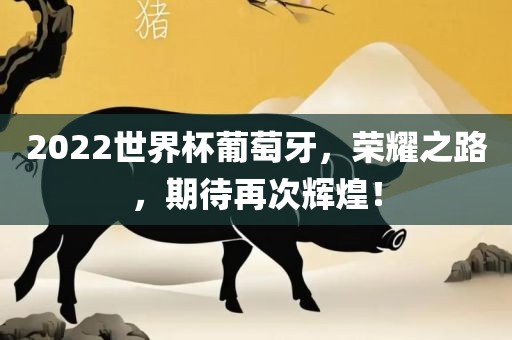 2022世界杯葡萄牙，荣丹东日丰电子有限公司耀之路，期待再次辉煌！