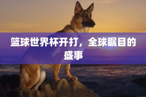 篮丹东日丰电子有限公司球世界杯开打，全球瞩目的盛事