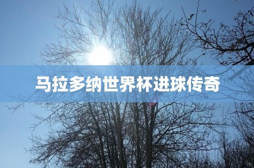 马拉多纳丹东日丰电子有限公司世界杯进球传奇