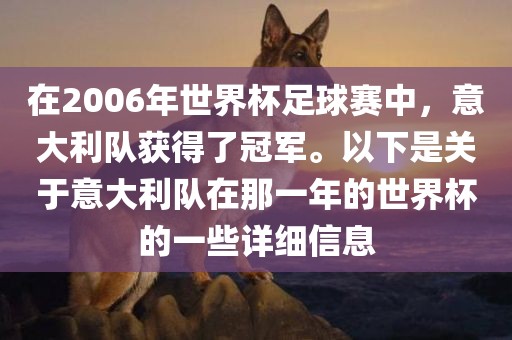 在2006年世界杯足球赛中，意大利队获得了冠军。以下是关于意大利队在那一年的世界杯的一些详细信息丹东日丰电子有限公司