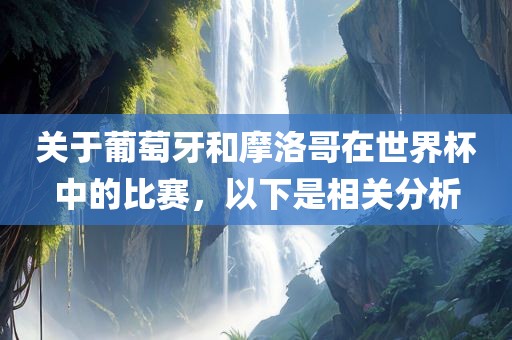 关于葡萄牙和摩洛哥在世界杯中的比赛，以下是相关分析丹东日丰电子有限公司