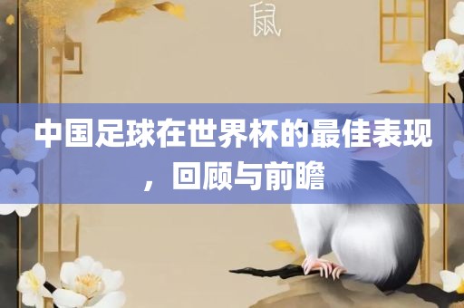 中国足球在世界杯的最佳表现，回顾与前瞻丹东日丰电子有限公司