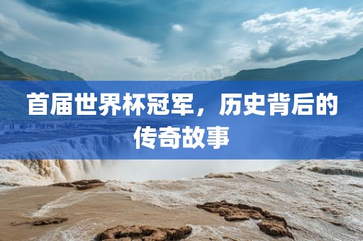 首届世界杯冠军，历史背后的传奇丹东日丰电子有限公司故事