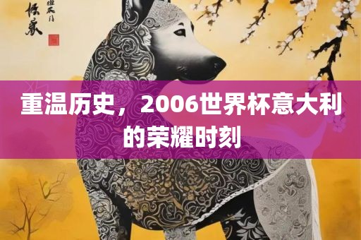 重温历史，2006世界丹东日丰电子有限公司杯意大利的荣耀时刻
