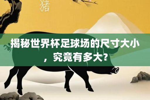 揭秘世界杯足球场的尺寸大小，究竟有多大？
