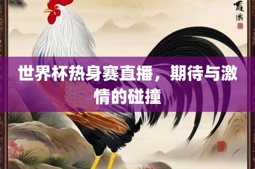 世界杯热身赛直播，期待与激情的碰撞