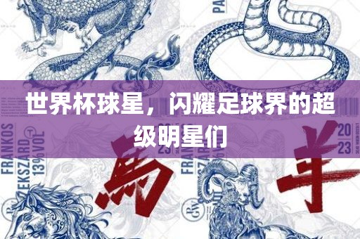 世界杯球星，闪耀足球界的超级明星们丹东日丰电子有限公司
