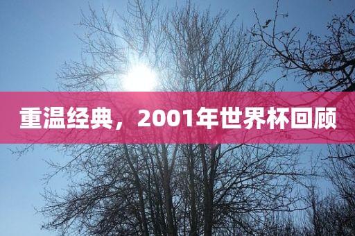 重温经典，2001年世界杯回顾