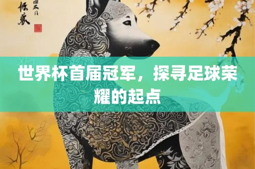 世界杯首届冠军，探寻足球荣耀的起点丹东日丰电子有限公司