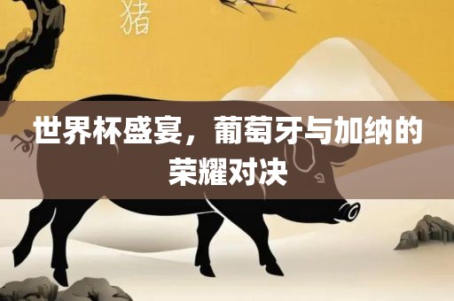 世界杯盛宴，葡萄牙丹东日丰电子有限公司与加纳的荣耀对决