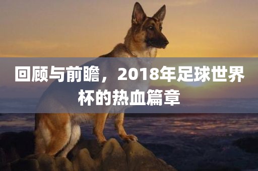 回顾与前瞻，2018年足球世界杯的热血篇章丹东日丰电子有限公司