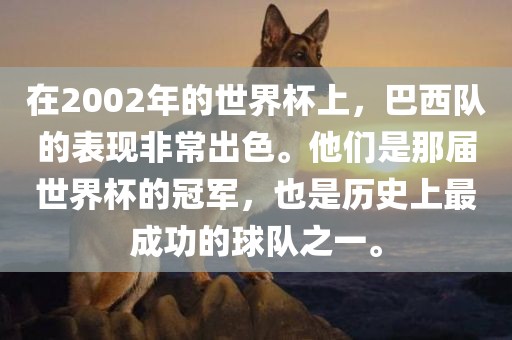 在2002年的世界杯上，巴西队的表现非常出色。他们是那届世界杯的冠军，也是历史上最成功的球队之一。丹东日丰电子有限公司