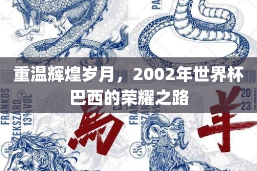 重温辉煌岁月，2002年世界杯巴西的荣耀之路丹东日丰电子有限公司