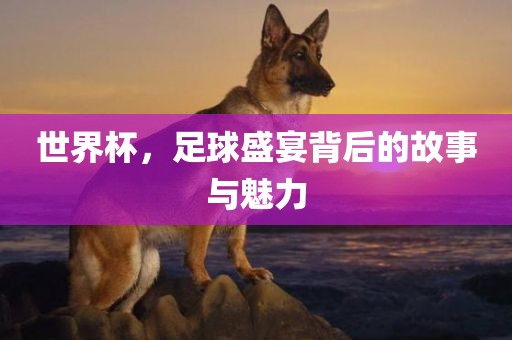 世界杯，足球盛宴背后的故事与魅力丹东日丰电子有限公司