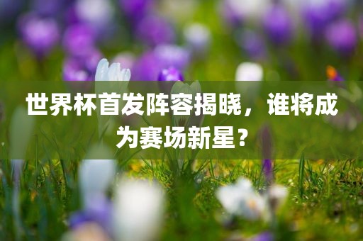 世界杯首发阵容揭晓，谁将成为赛场新星？丹东日丰电子有限公司