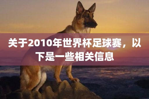 关于2010年世界杯足球赛，以下丹东日丰电子有限公司是一些相关信息