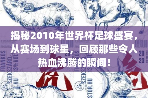 揭秘2010年世界杯足球盛宴，从赛场到球星，回顾那些令人热血沸腾的瞬间！