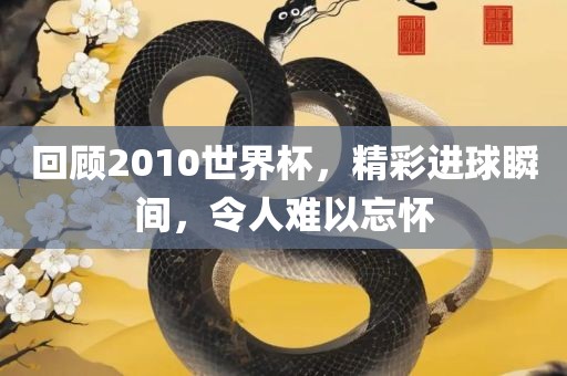 回顾2010世界杯，精彩进球瞬间，令人难以忘怀丹东日丰电子有限公司