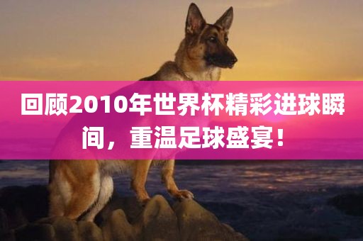 回顾2010年世界杯精彩进球瞬间，重温足球盛宴！