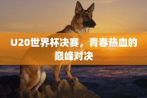 U20世界杯决赛，青春热血的巅峰对决丹东日丰电子有限公司